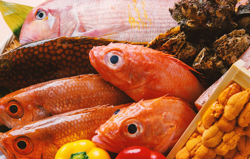 魚